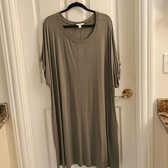 Terra & Sky Dresses & Skirts - 3X T-shirt dress